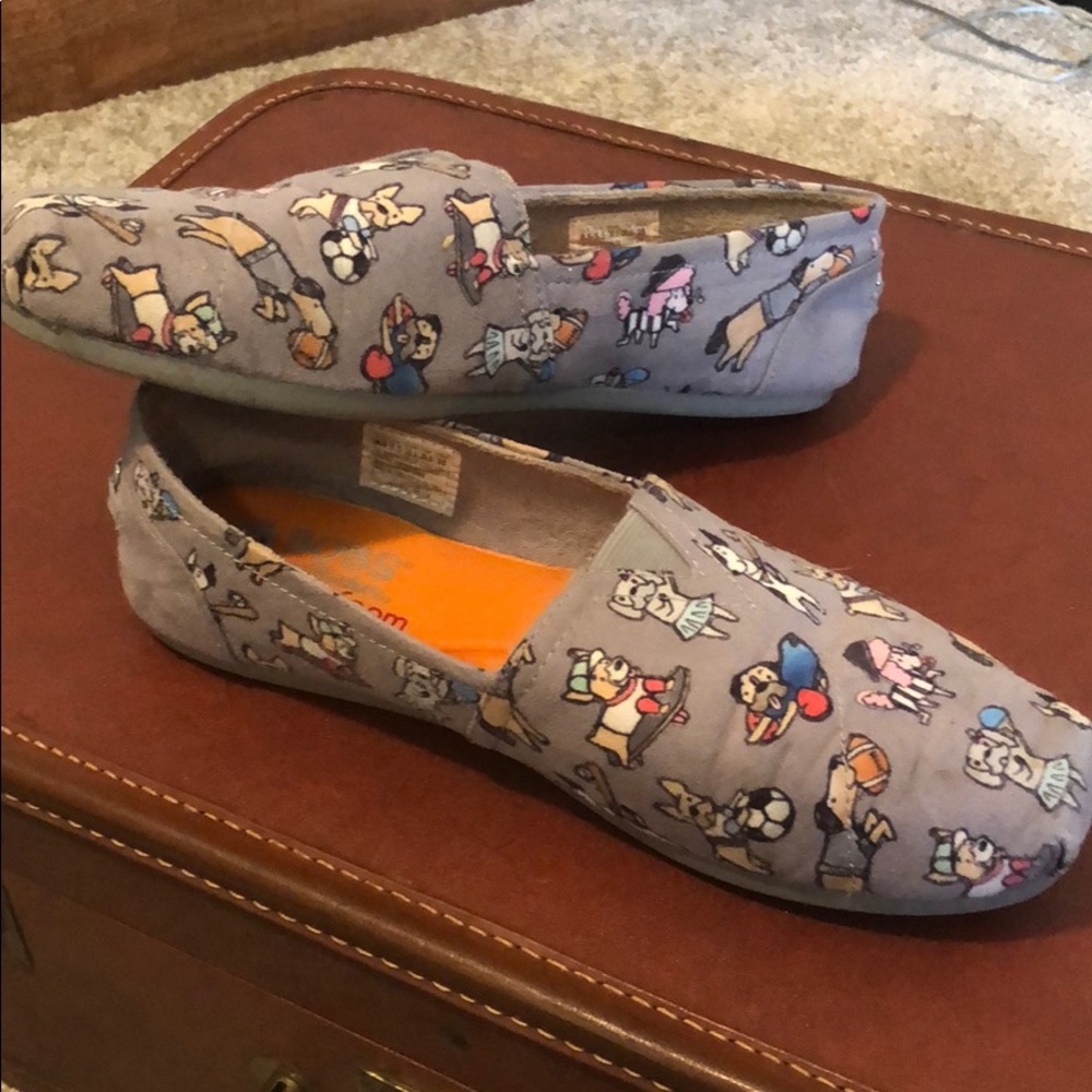Grey dog Bobs slides
